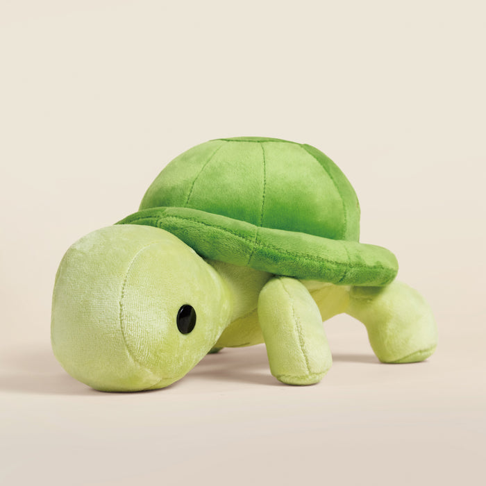 Torti the Tortoise