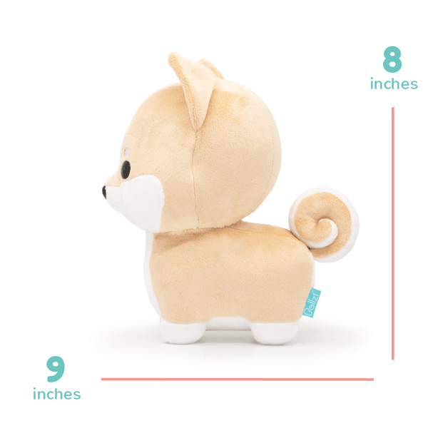 Shibi the Shiba Inu - Bellzi