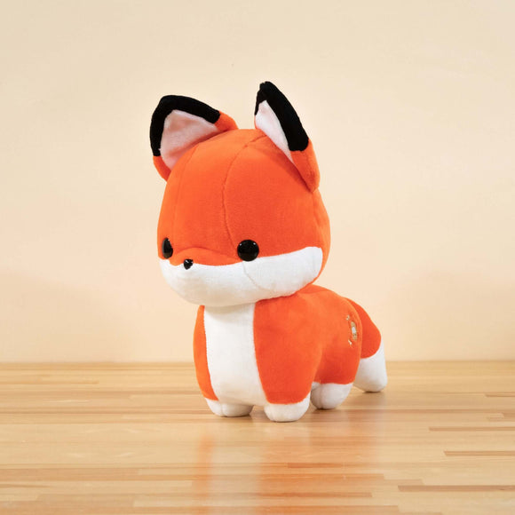 Foxxi Bundle - Bellzi