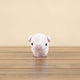 Mini Piggi the Pig - Bellzi