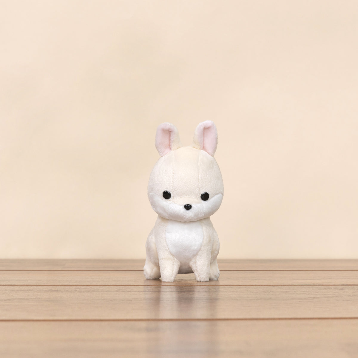 Mini Bunni the Dwarf Rabbit