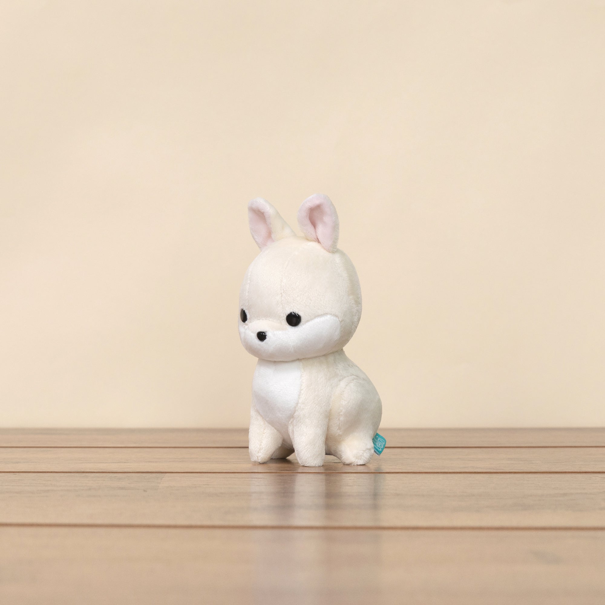 Mini Bunni the Dwarf Rabbit – Bellzi