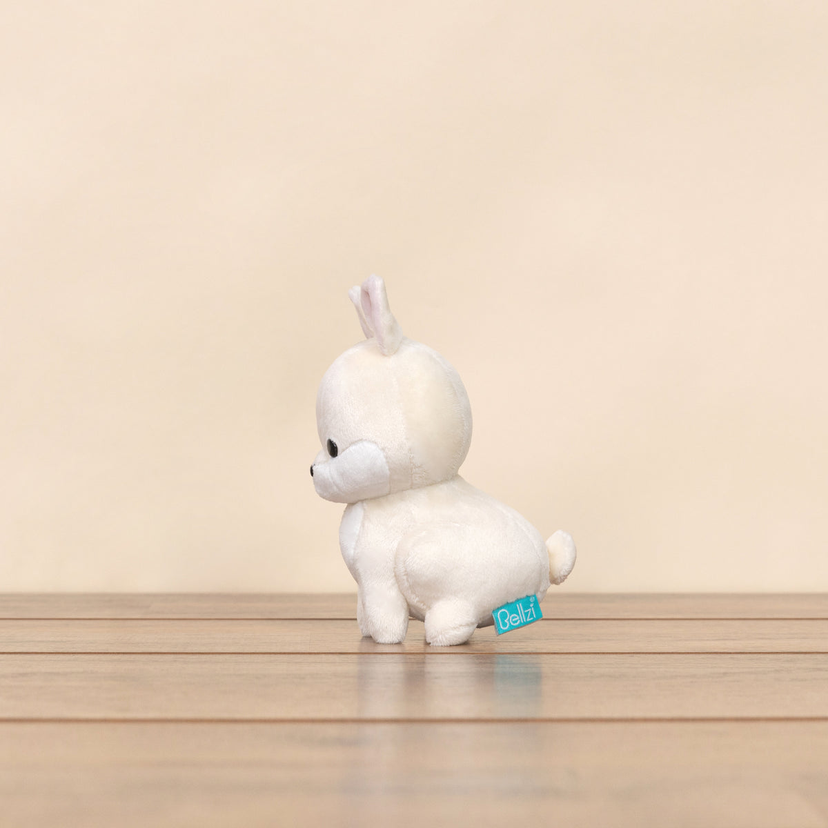 Mini Bunni the Dwarf Rabbit