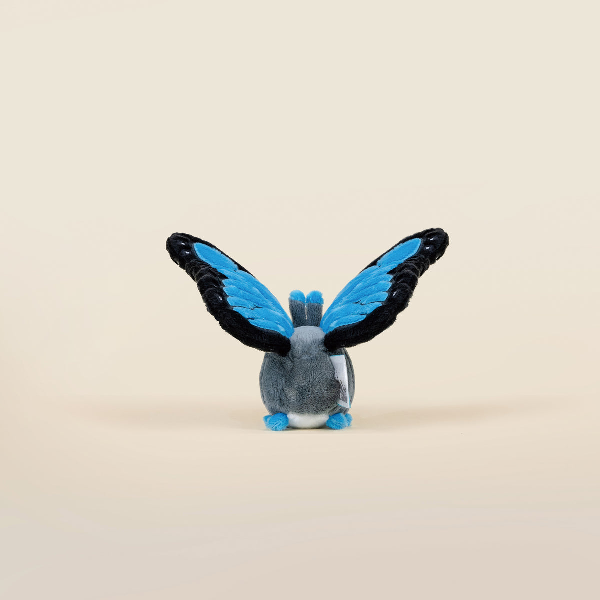 Mini Morpho Butti the Butterfly
