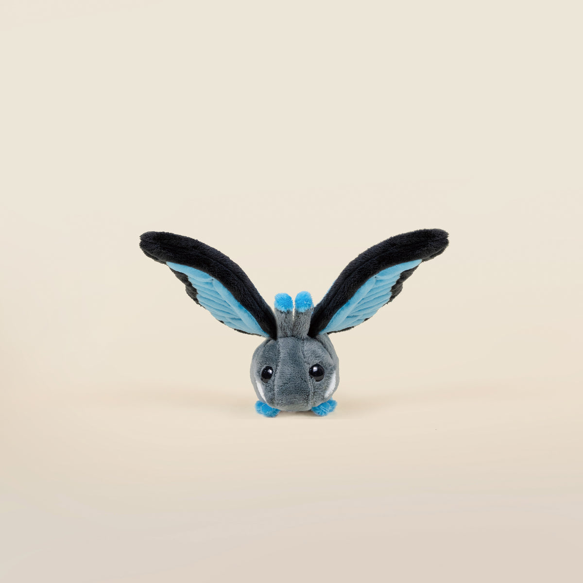 Mini Morpho Butti the Butterfly