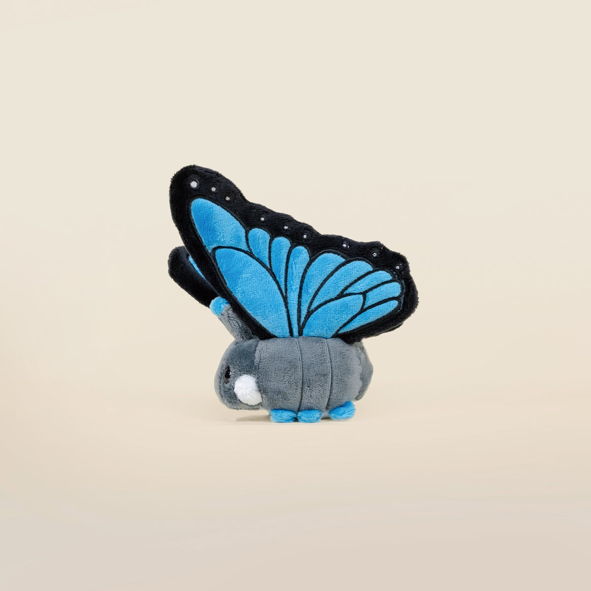 Mini Morpho Butti the Butterfly