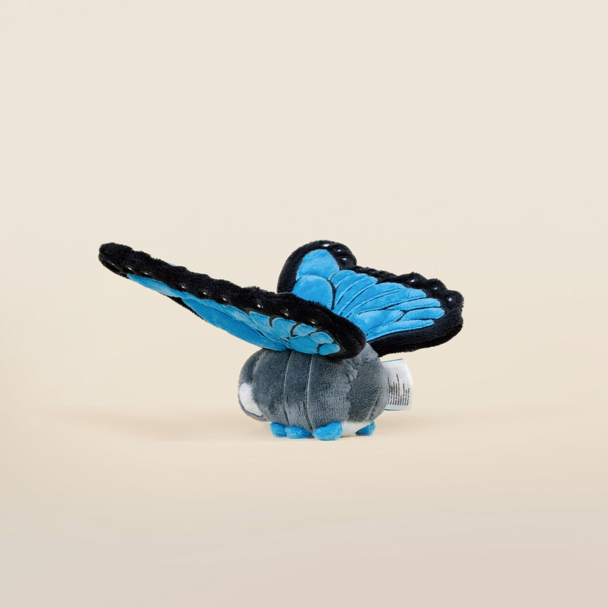 Mini Morpho Butti the Butterfly