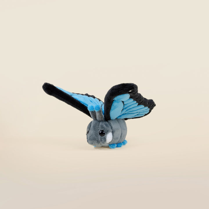Mini Morpho Butti the Butterfly