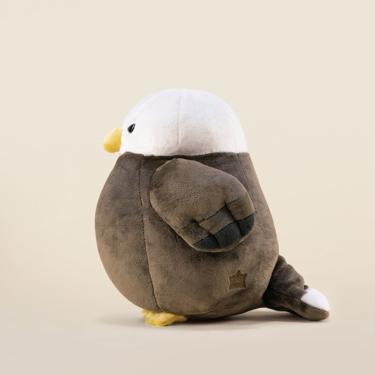Baldi the Bald Eagle