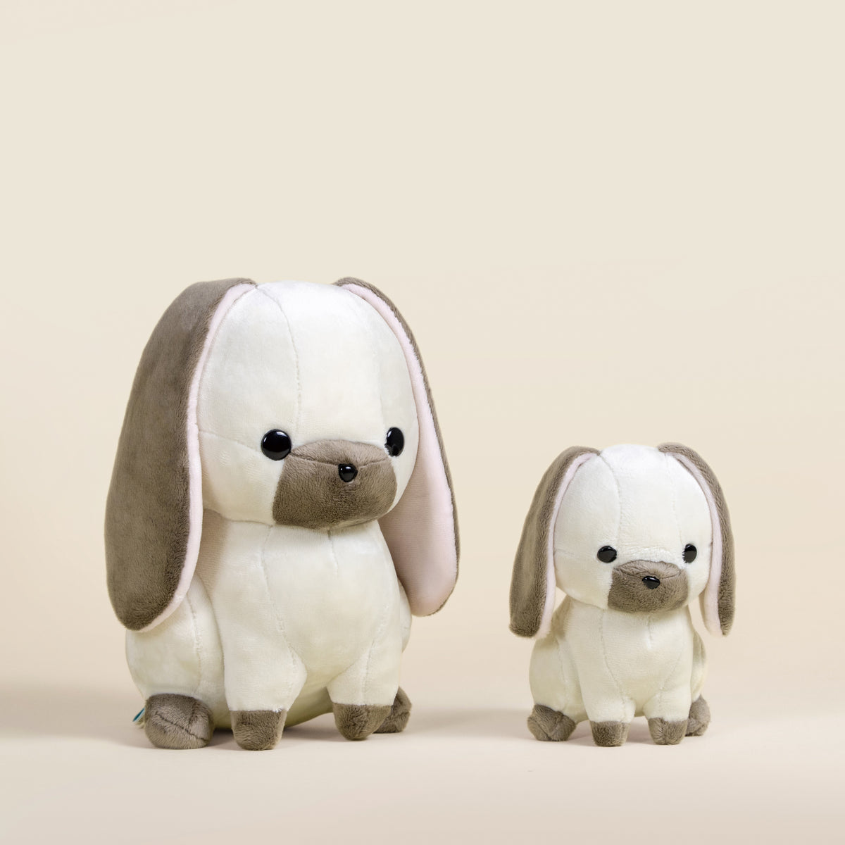 Lop Bunni the Lop Eared Rabbit