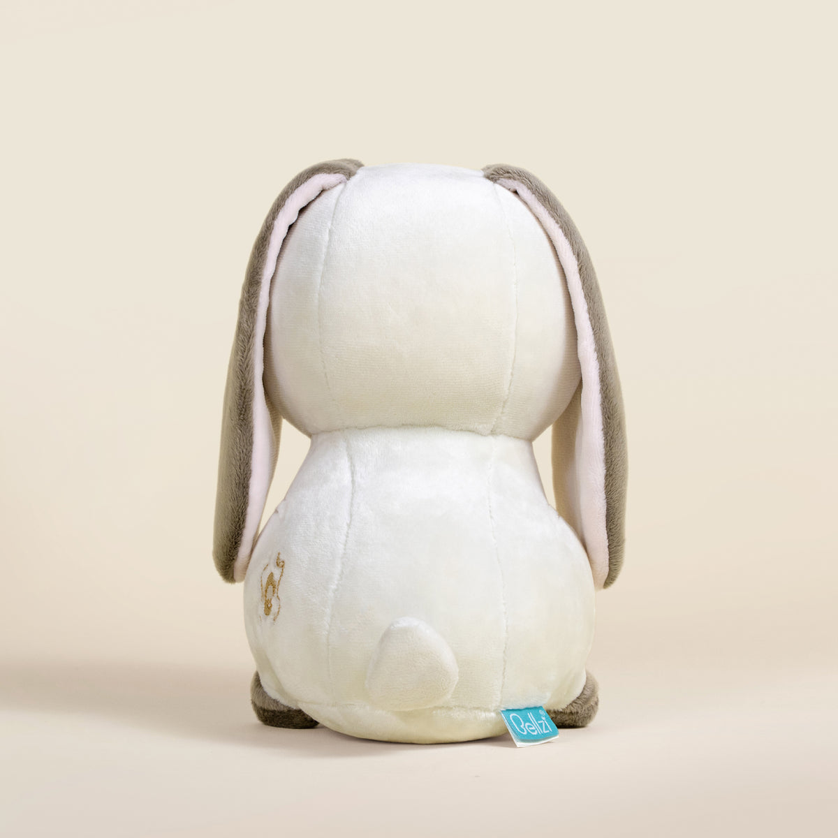 Lop Bunni the Lop Eared Rabbit