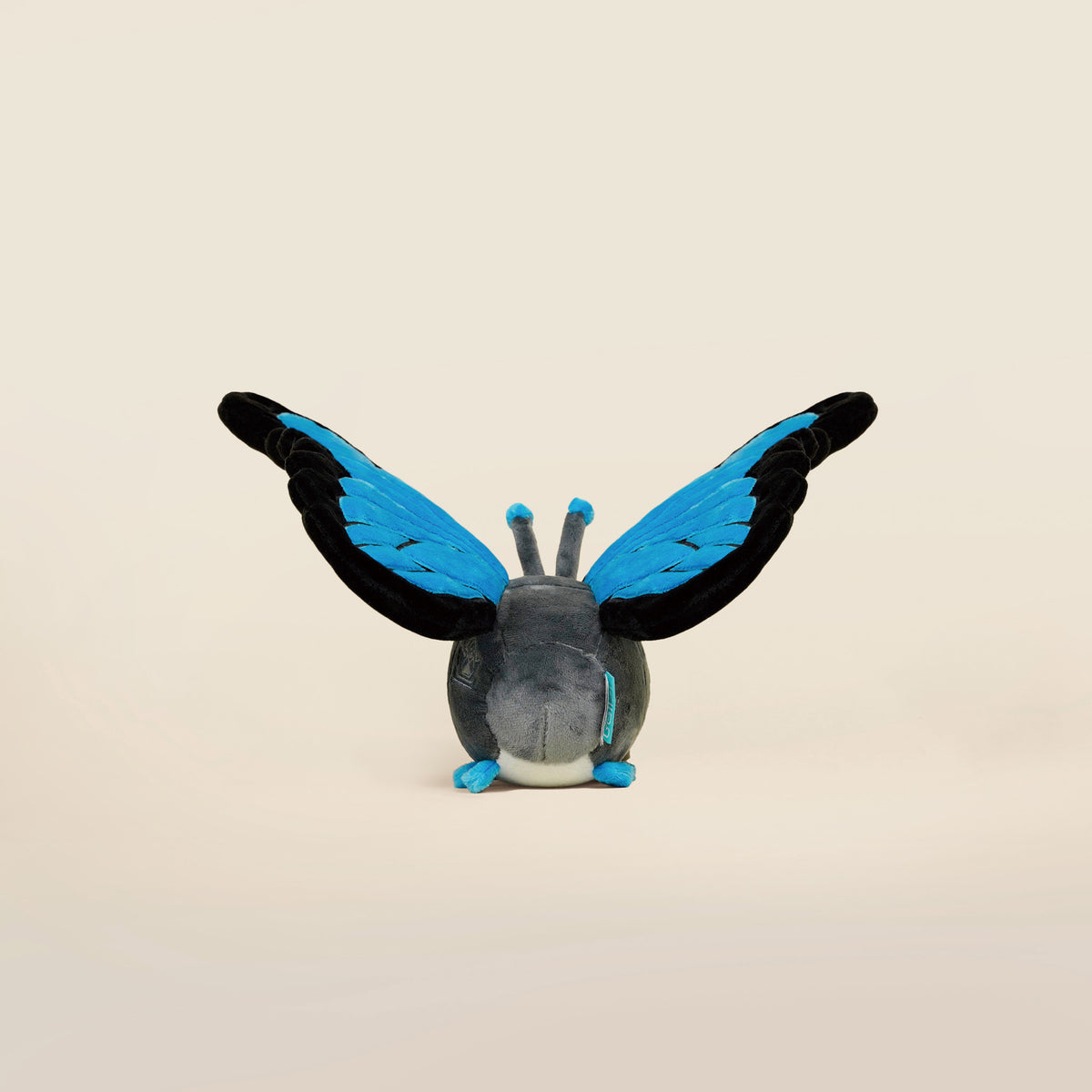 Morpho Butti the Butterfly