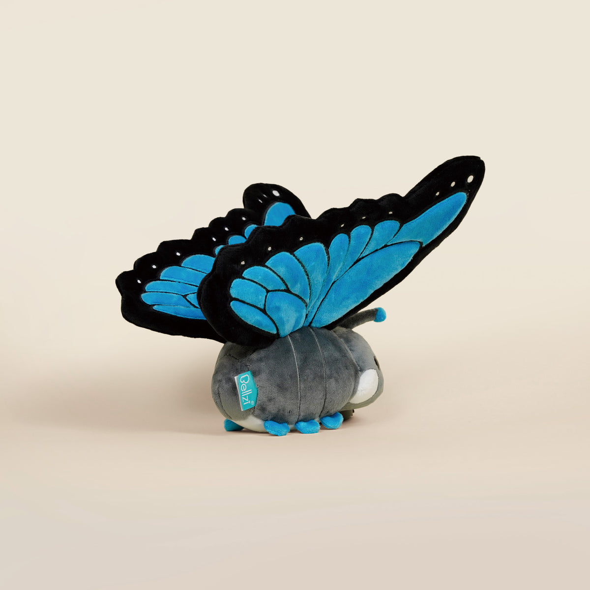 Morpho Butti the Butterfly