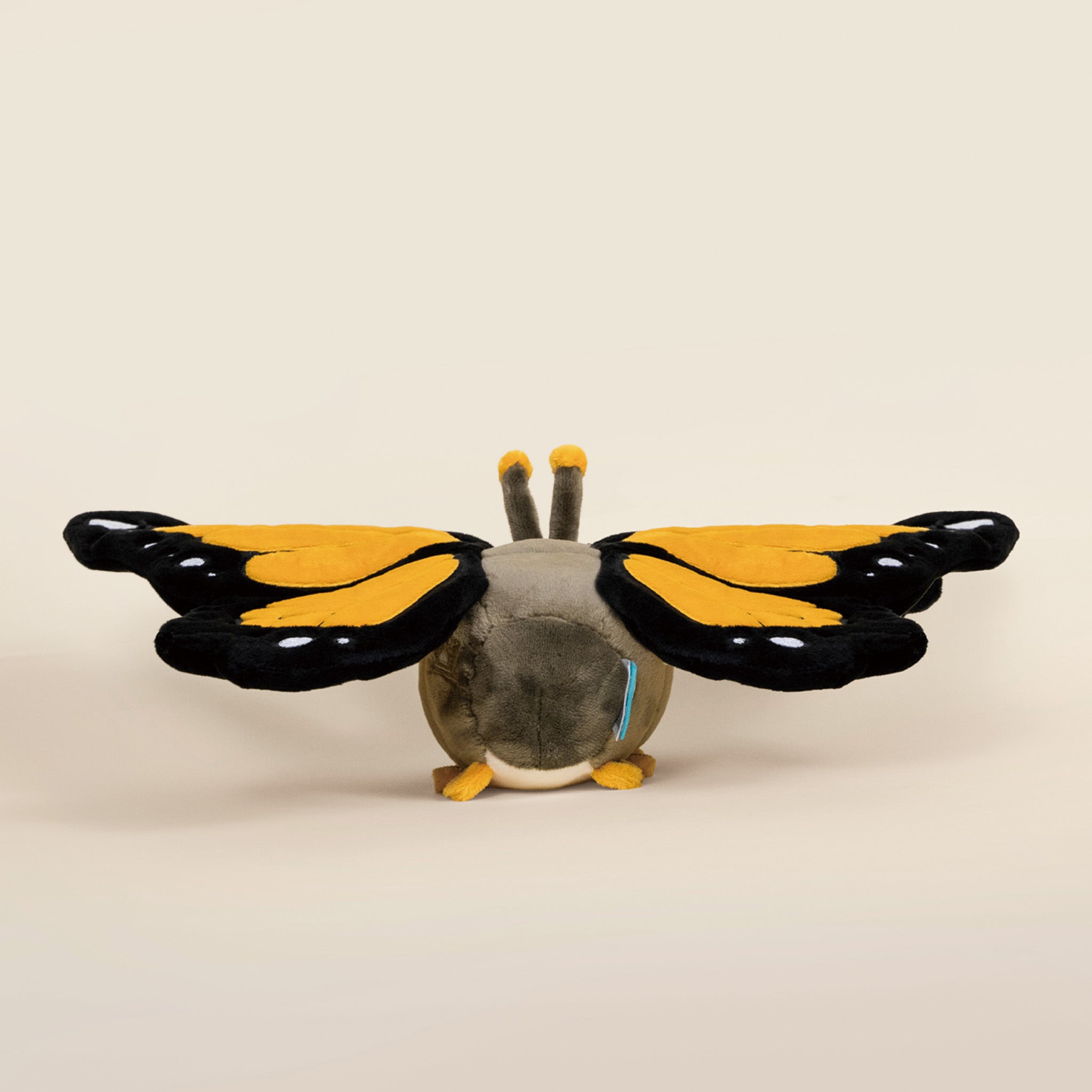 Monarch Butti the Butterfly