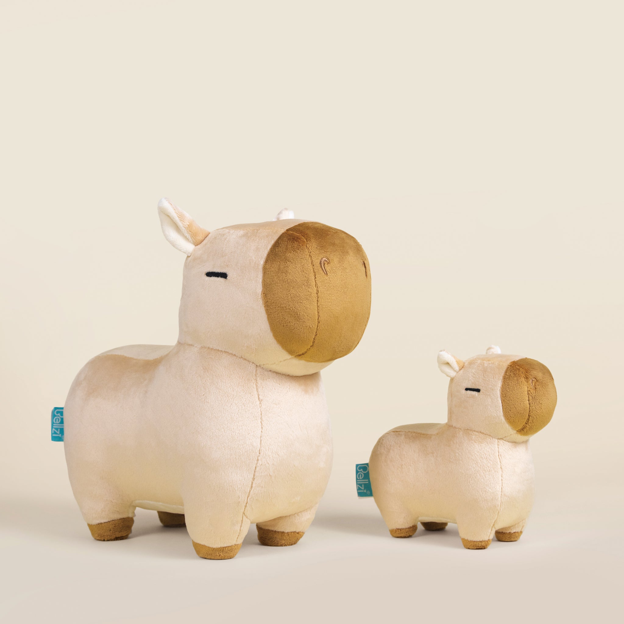 Mini Cappi the Capybara