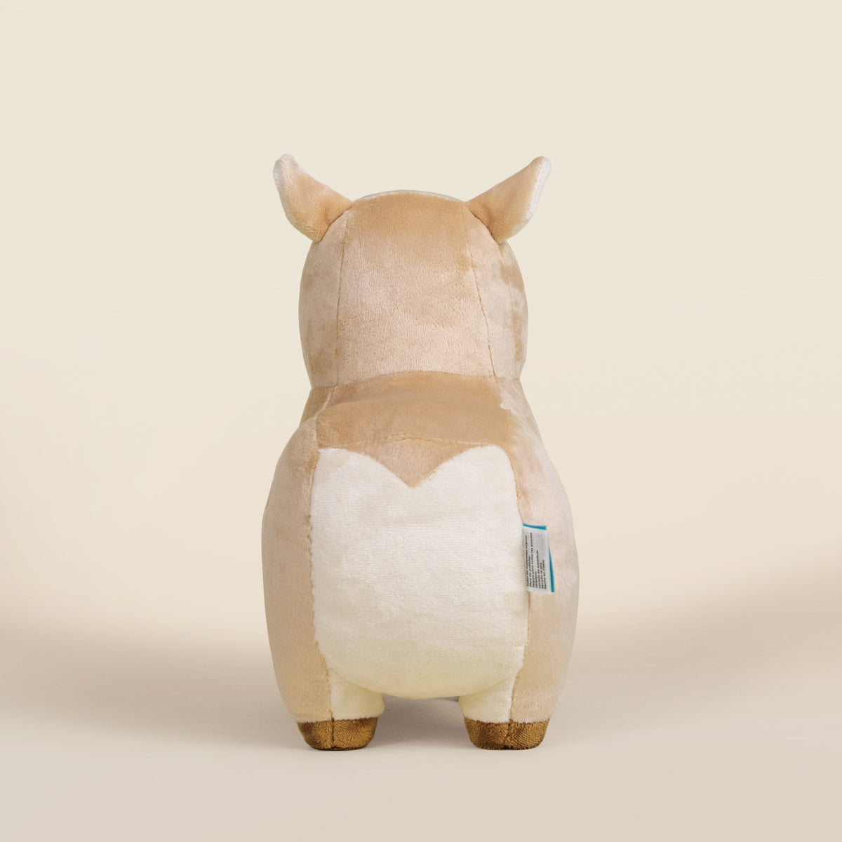 Cappi the Capybara