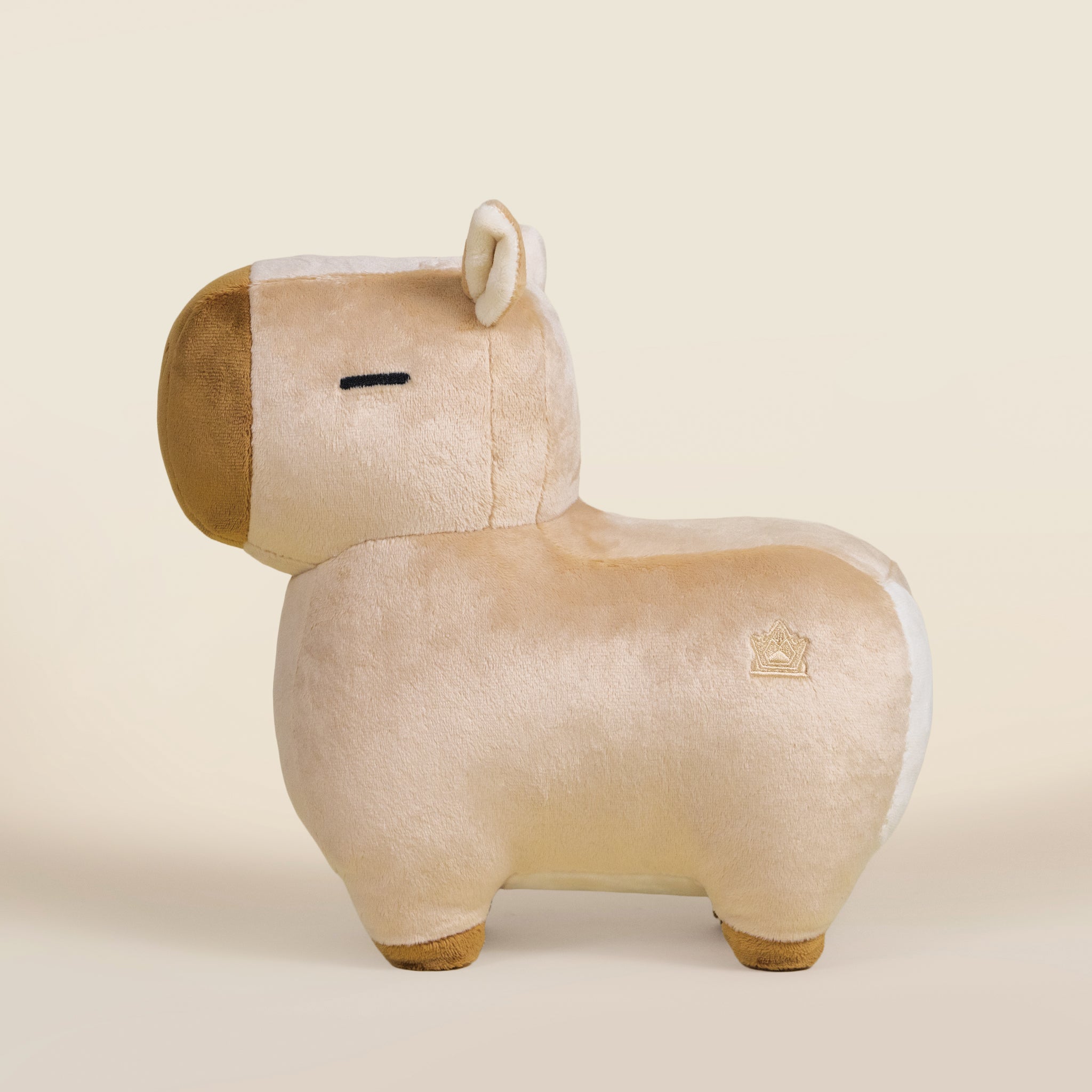 Cappi the Capybara