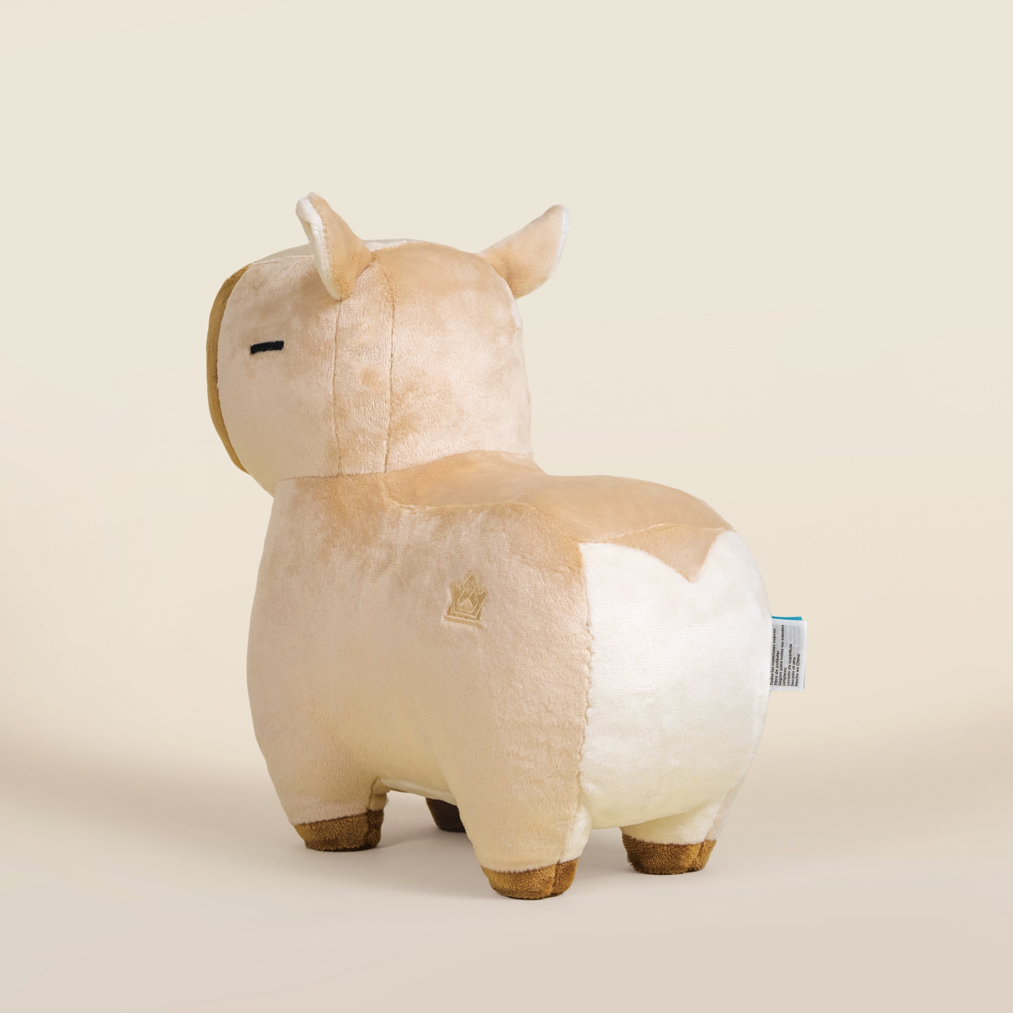 Cappi the Capybara