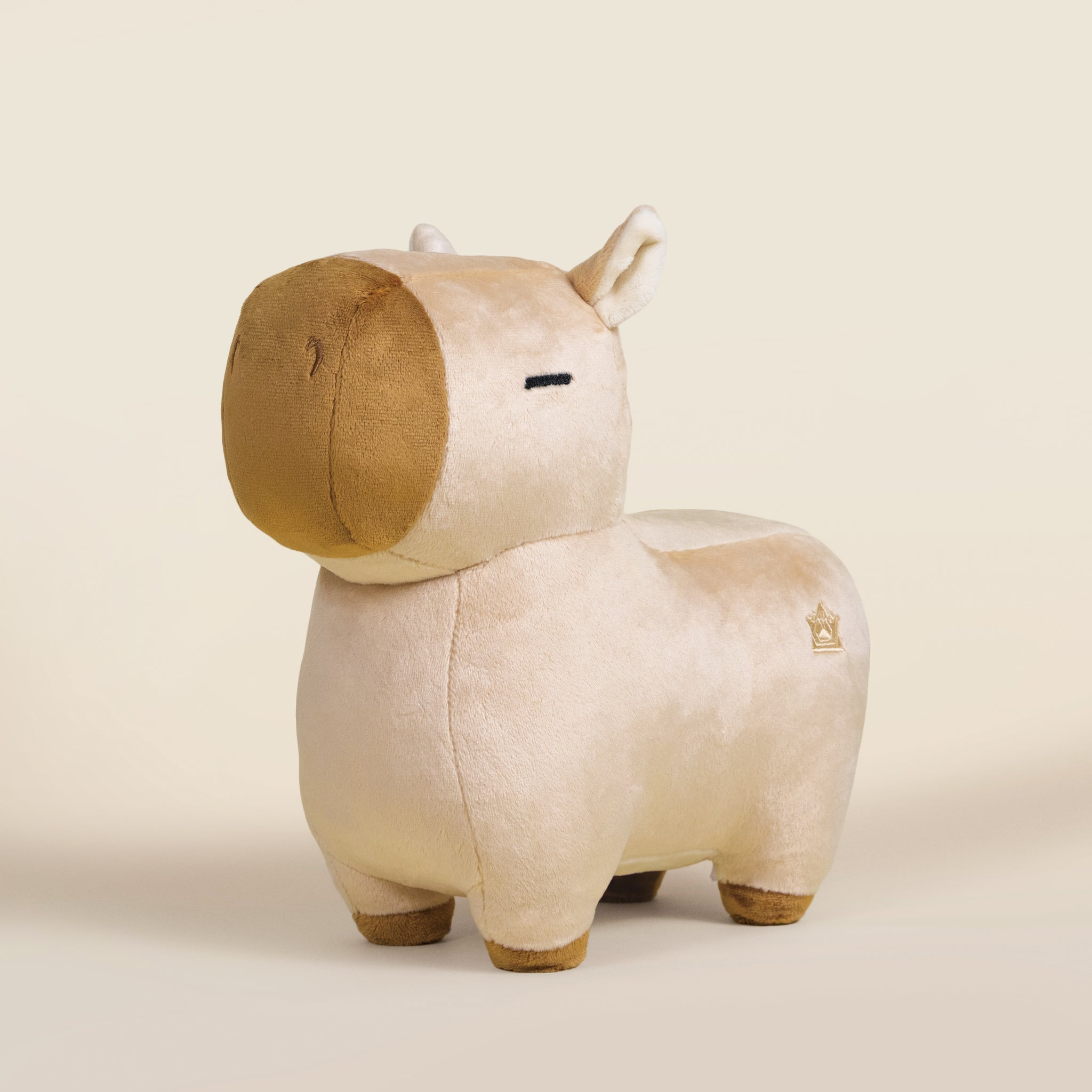 Cappi the Capybara