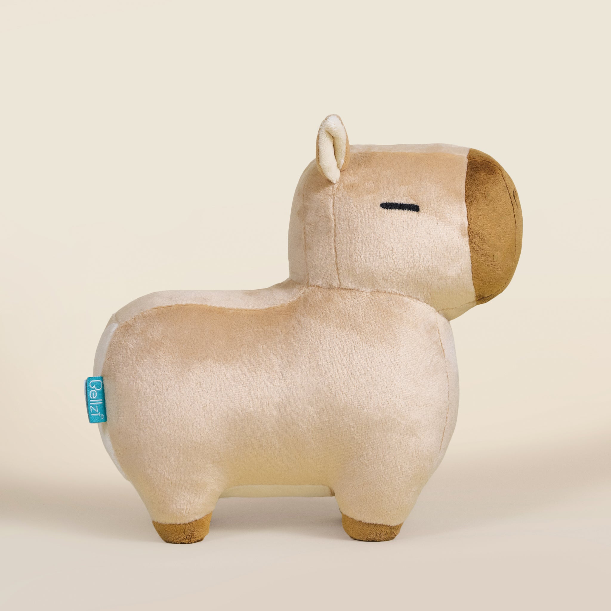 Cappi the Capybara