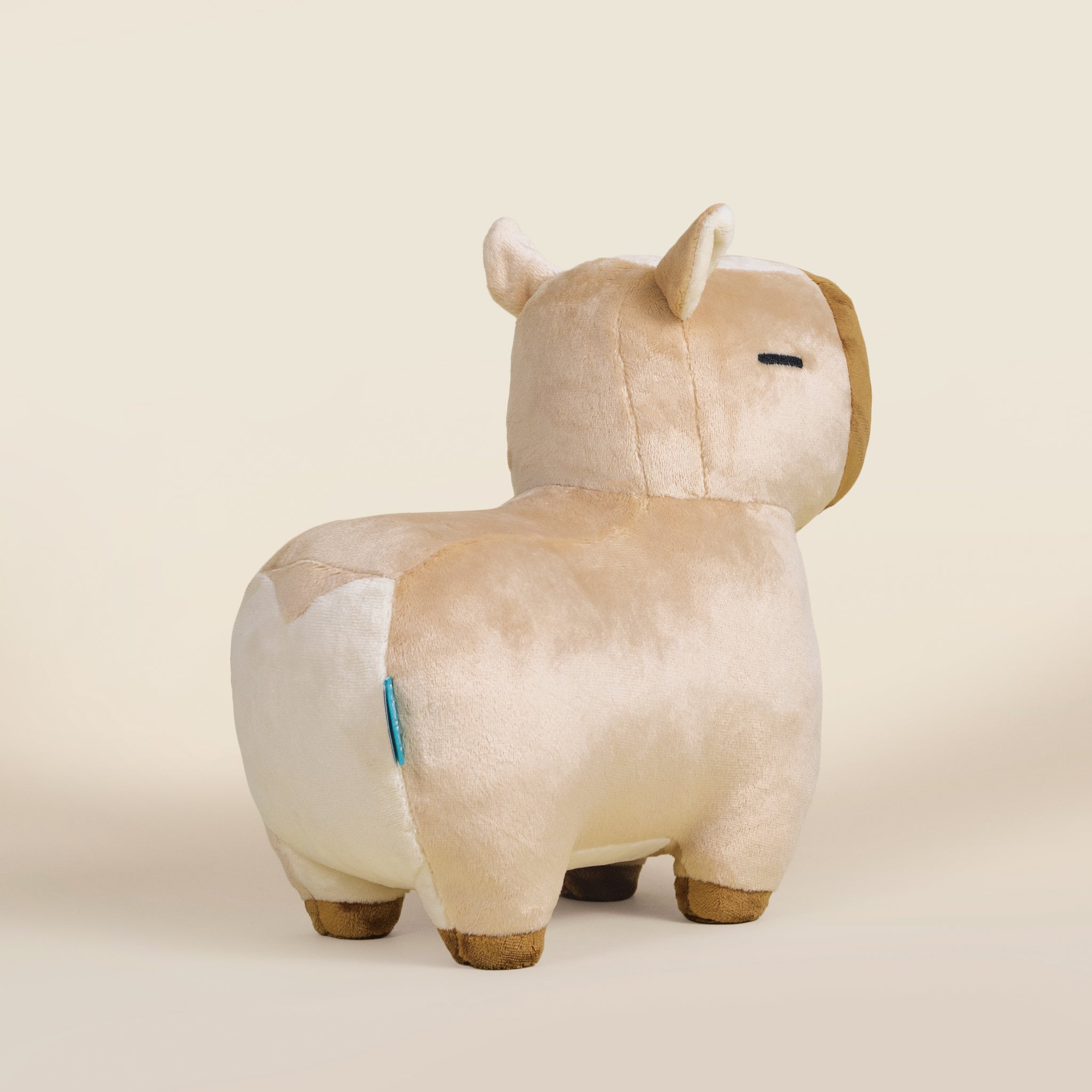 Cappi the Capybara