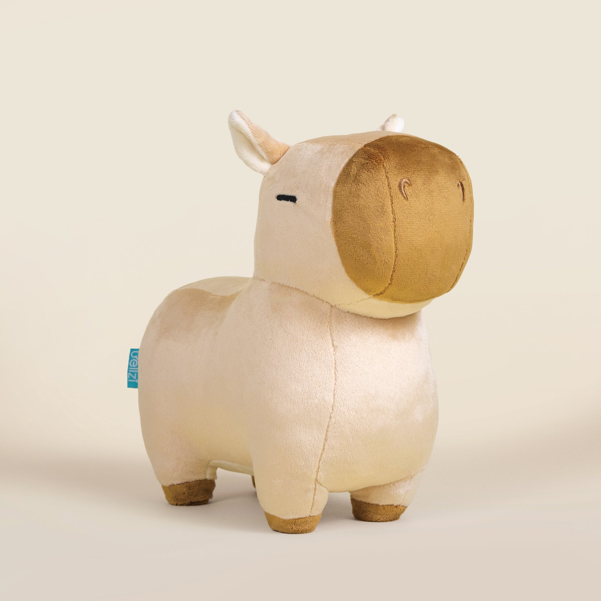 Cappi the Capybara