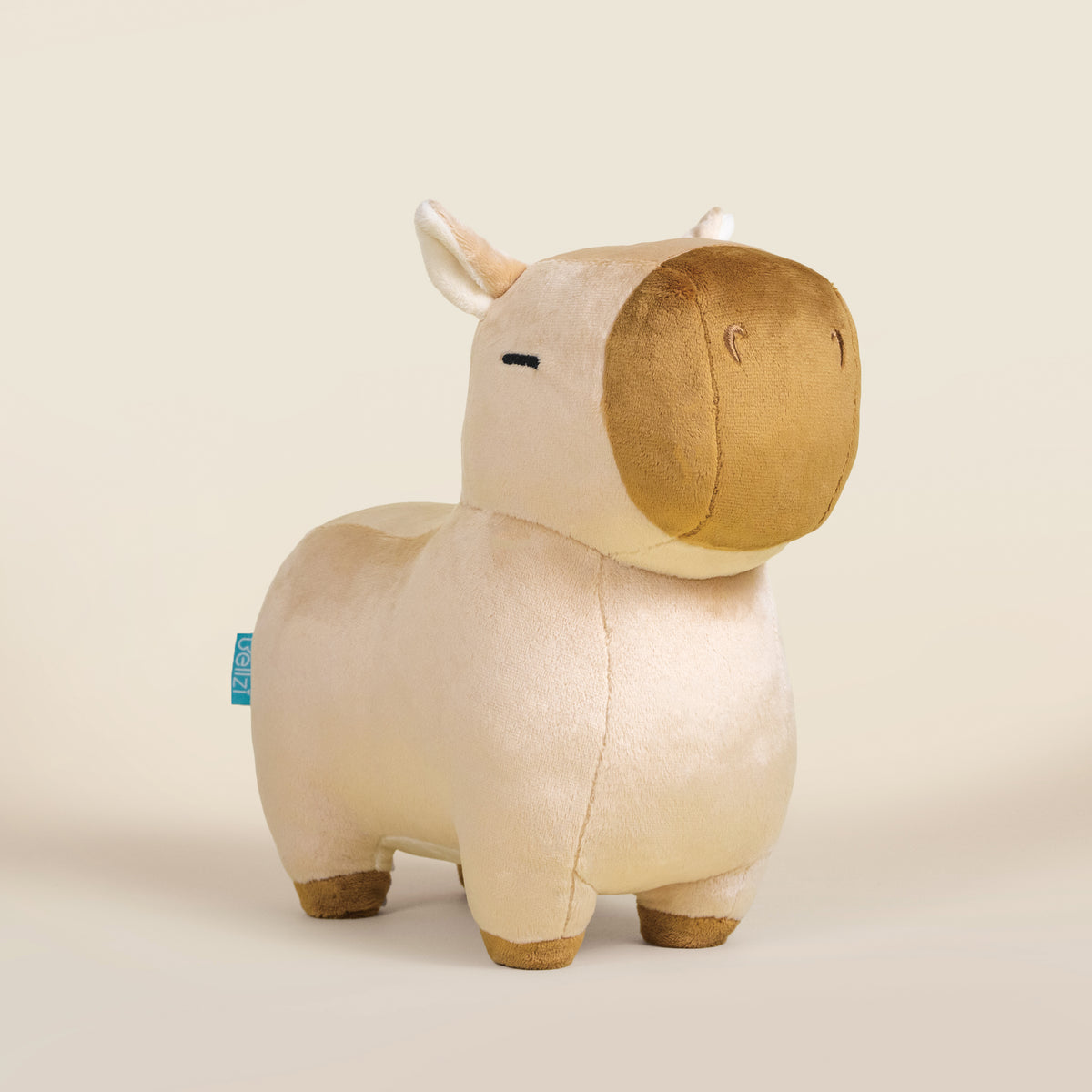 Cappi the Capybara