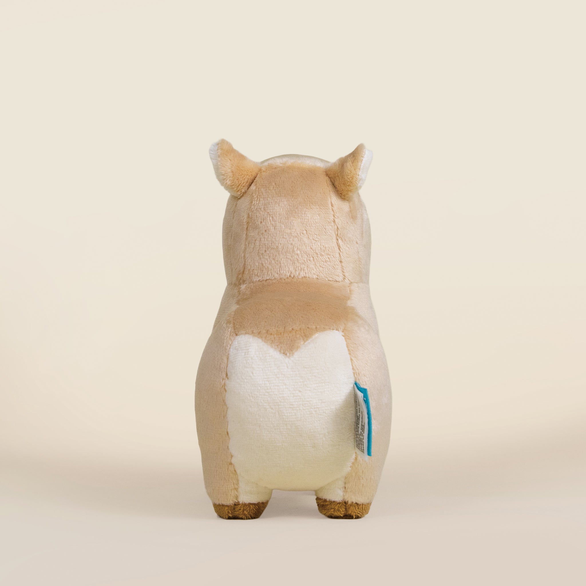 Mini Cappi the Capybara