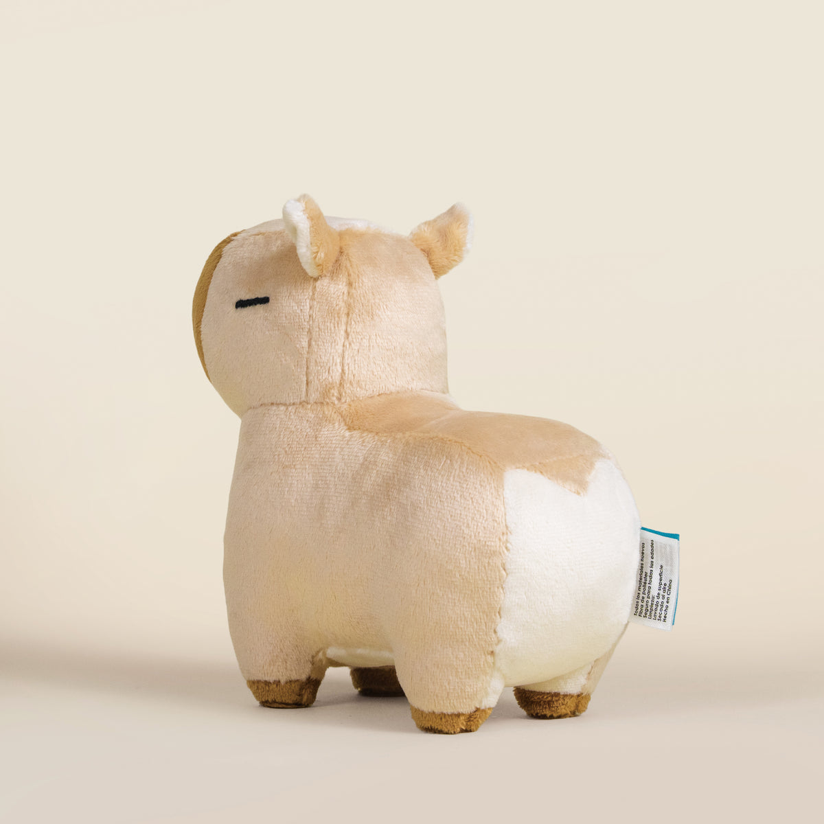 Mini Cappi the Capybara