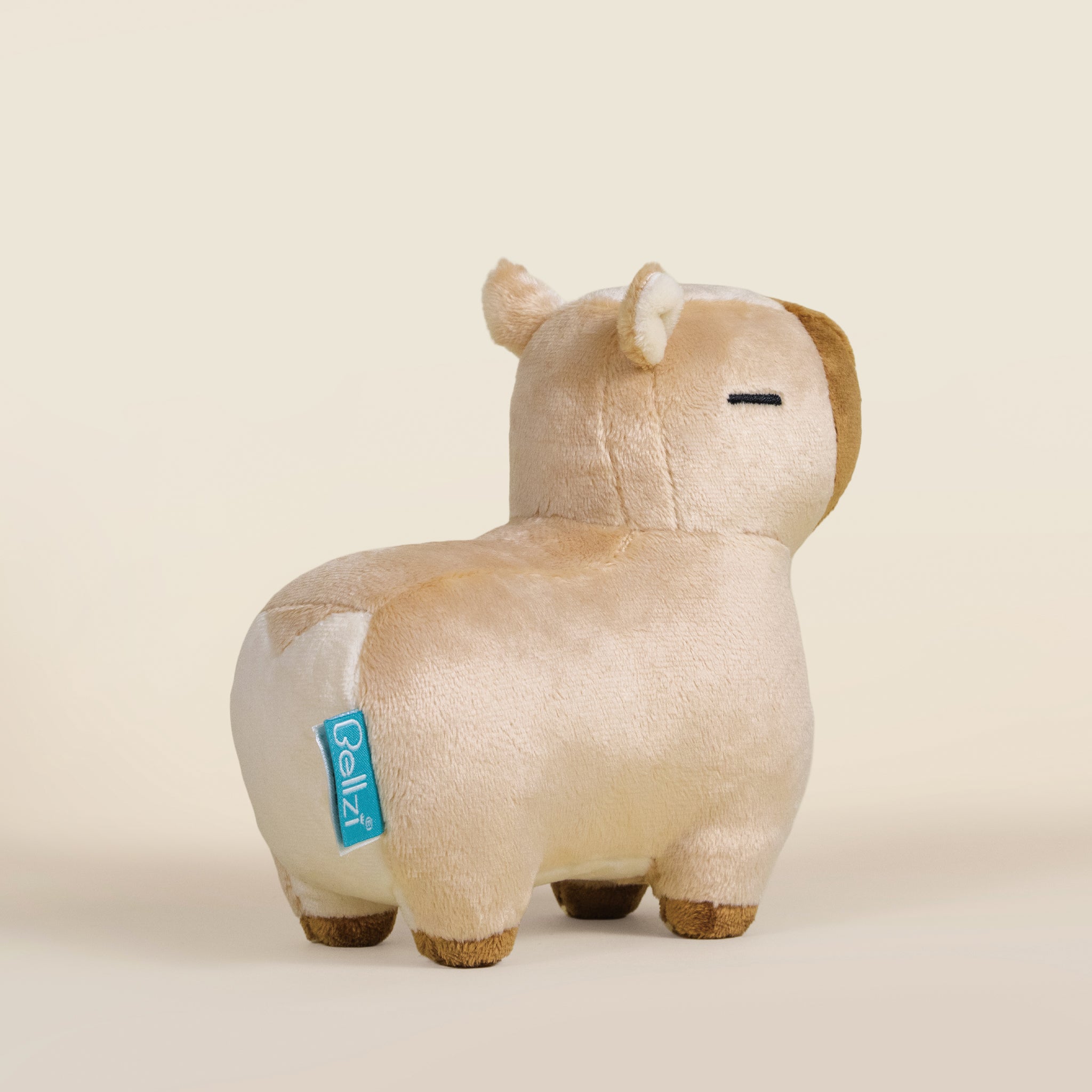 Mini Cappi the Capybara