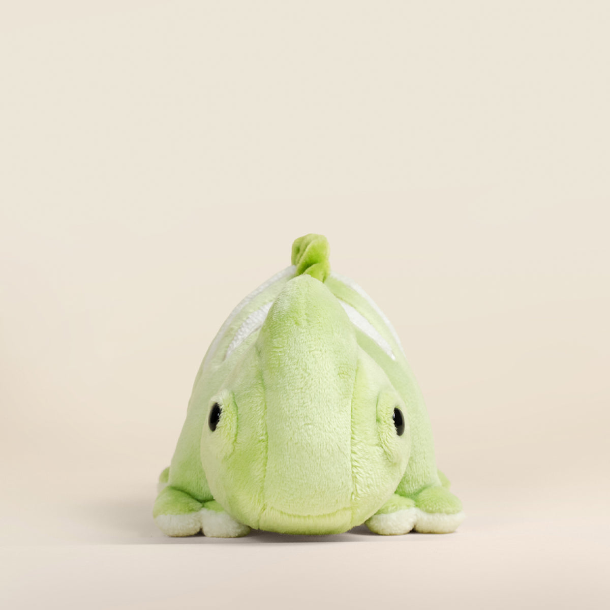 Mini Chamili the Chameleon