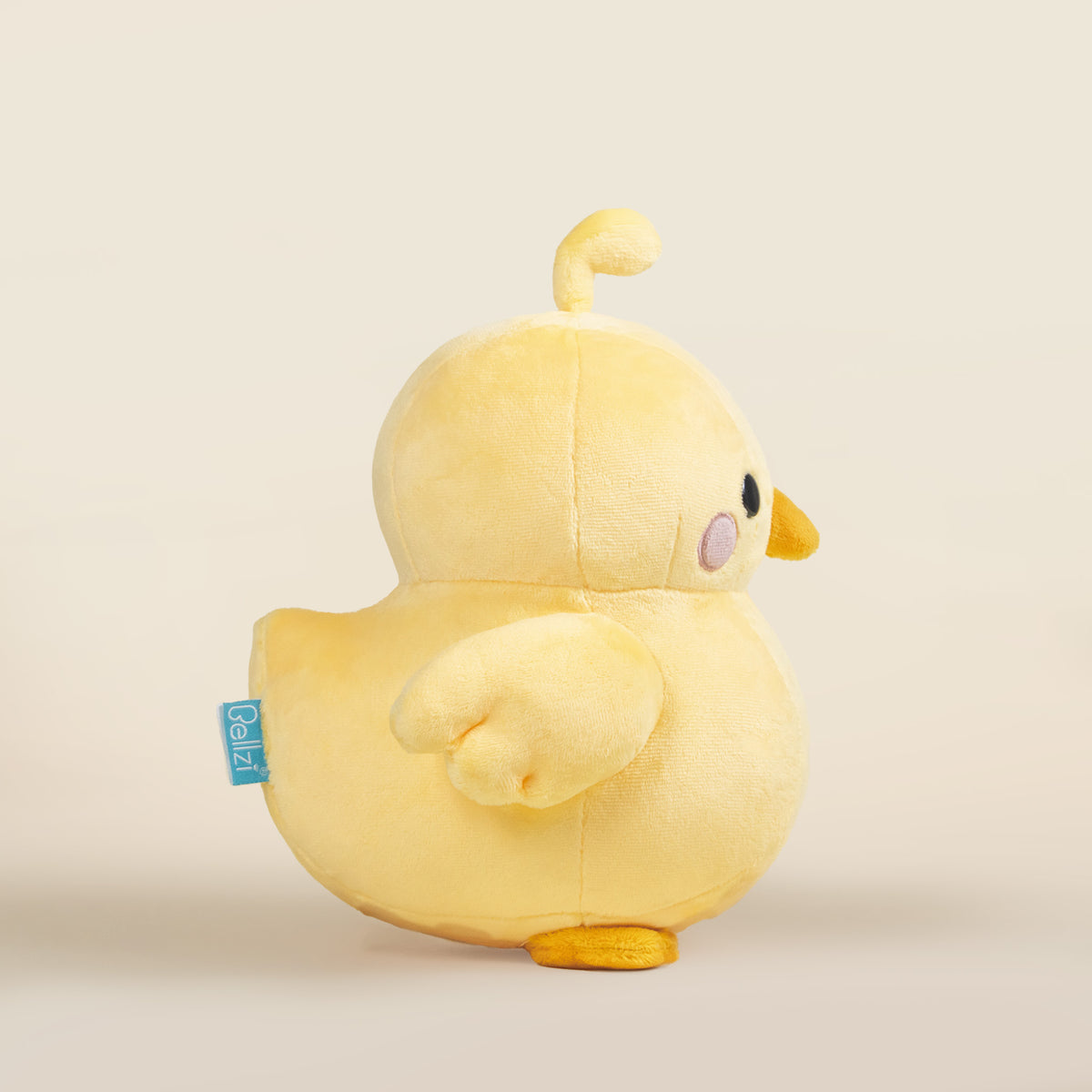 Chicki the Chick