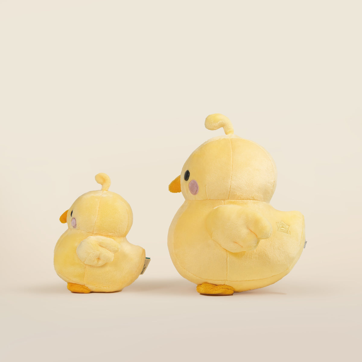 Mini Chicki the Chick