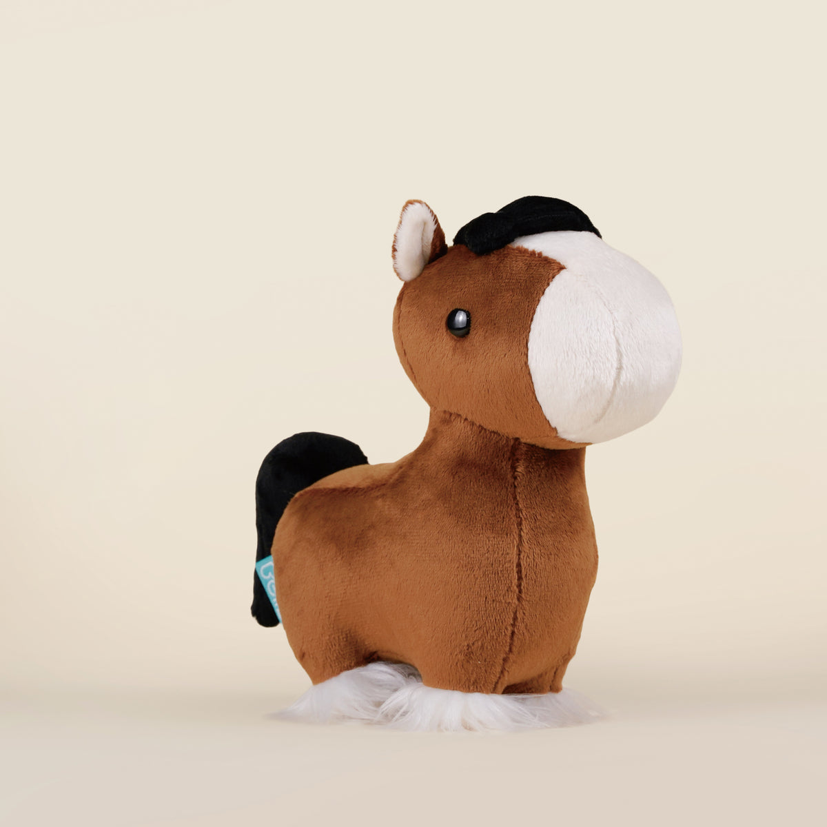 Mini Clydesdale the Horsi