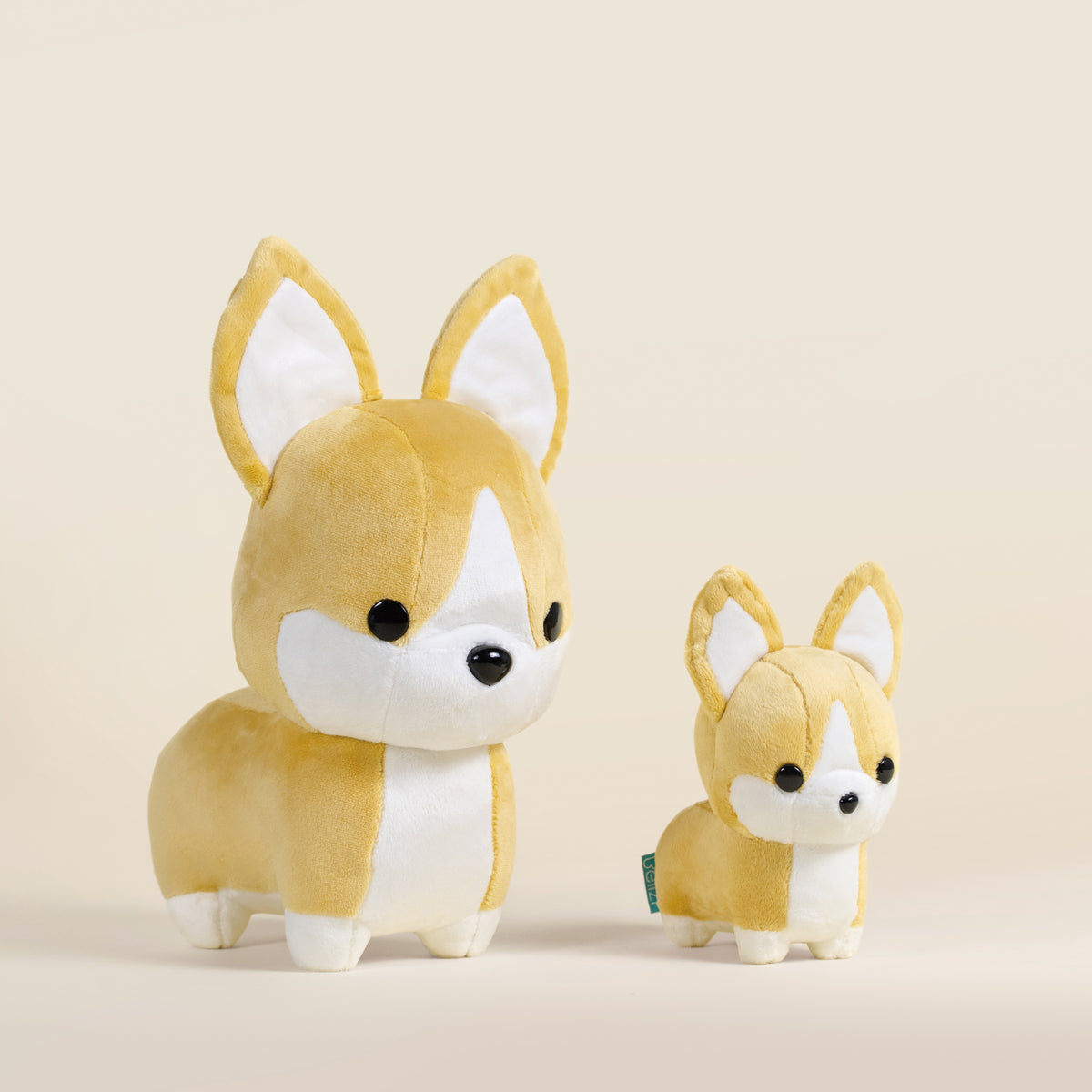 Mini Corgi the Dog