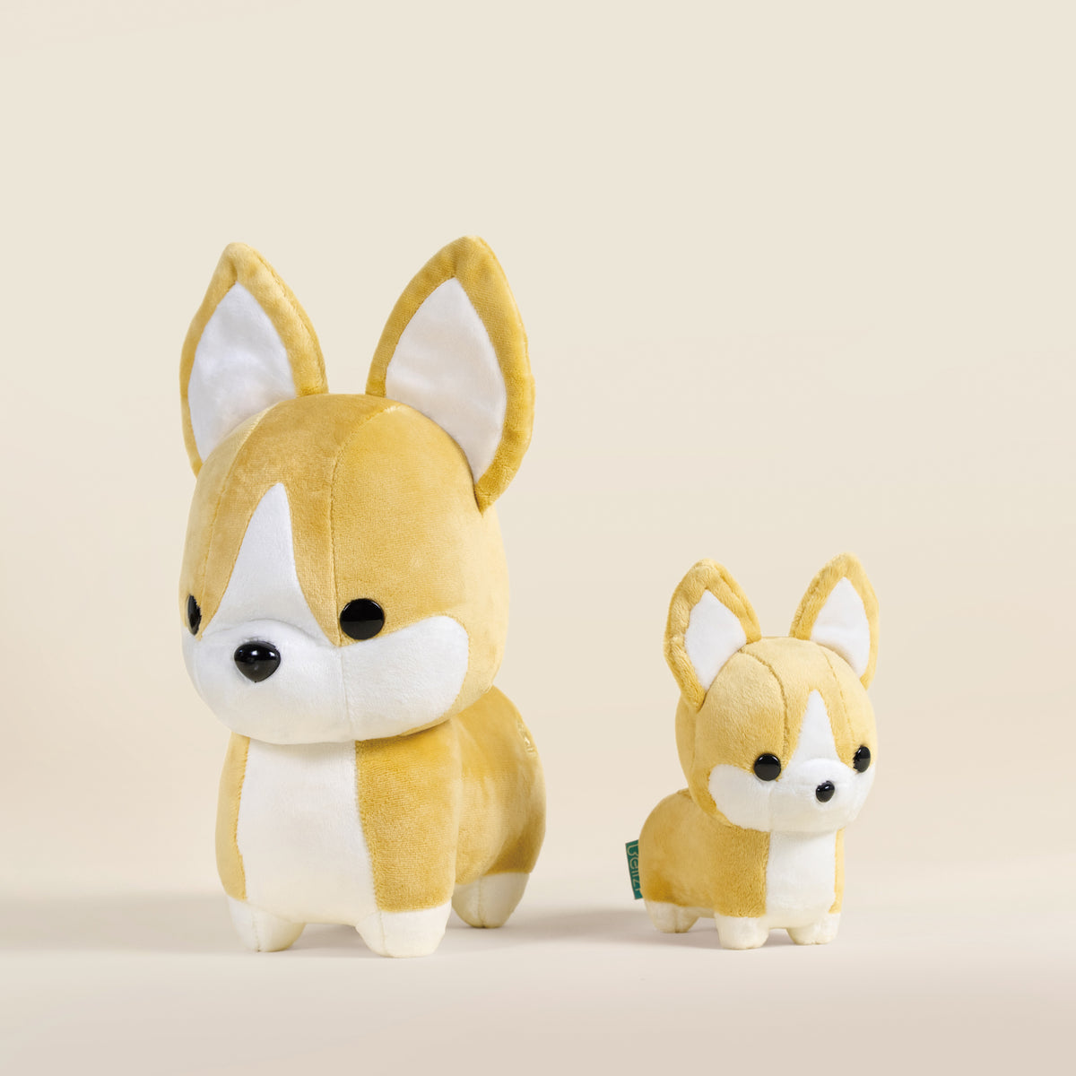 Mini Corgi the Dog