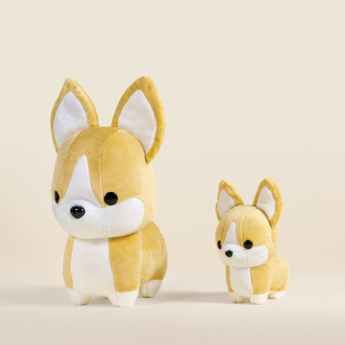 Mini Corgi the Dog