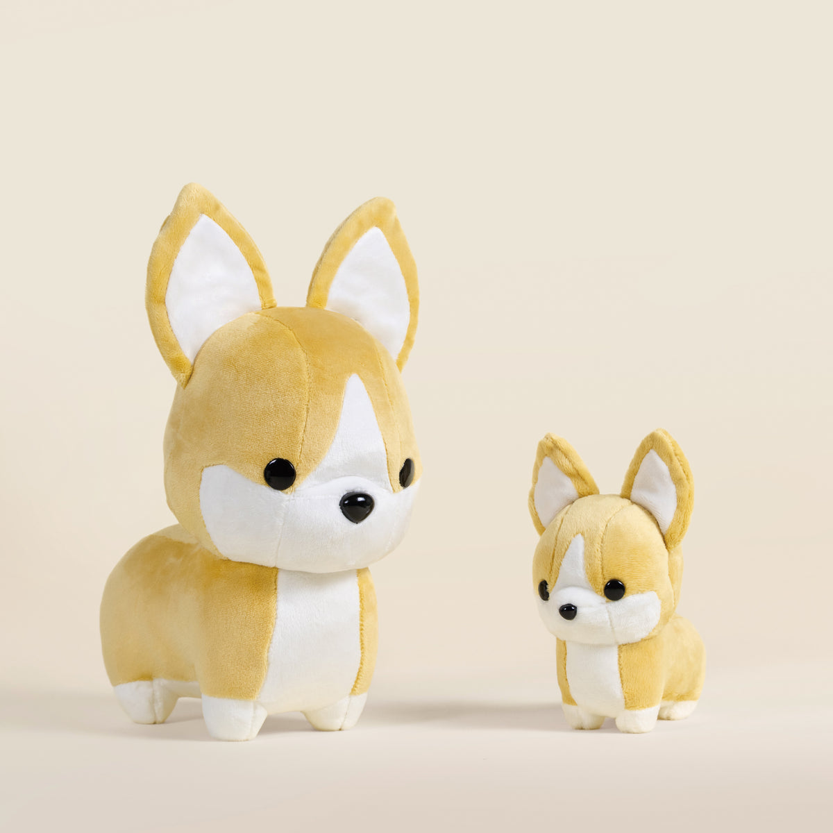 Corgi the Dog