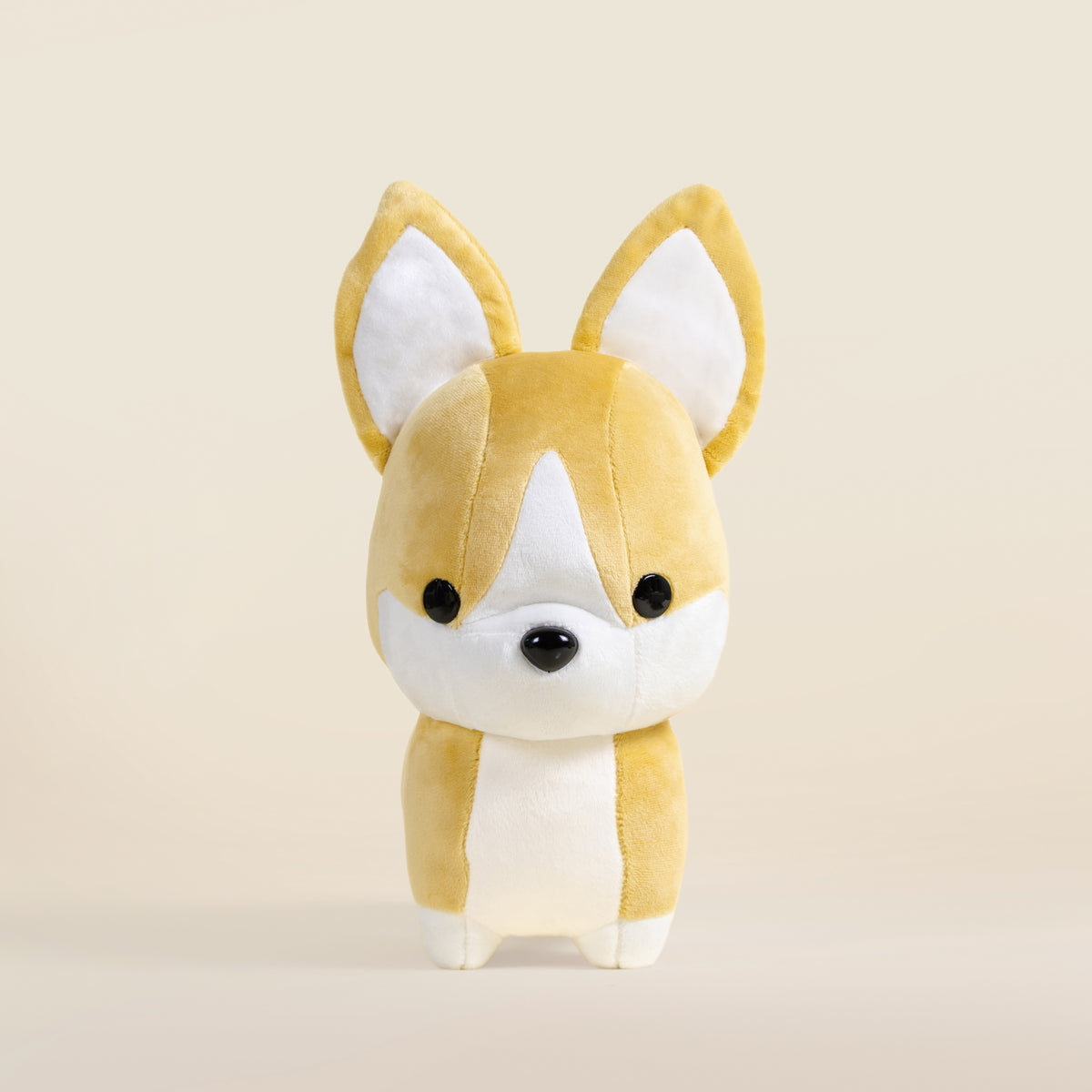 Corgi the Dog