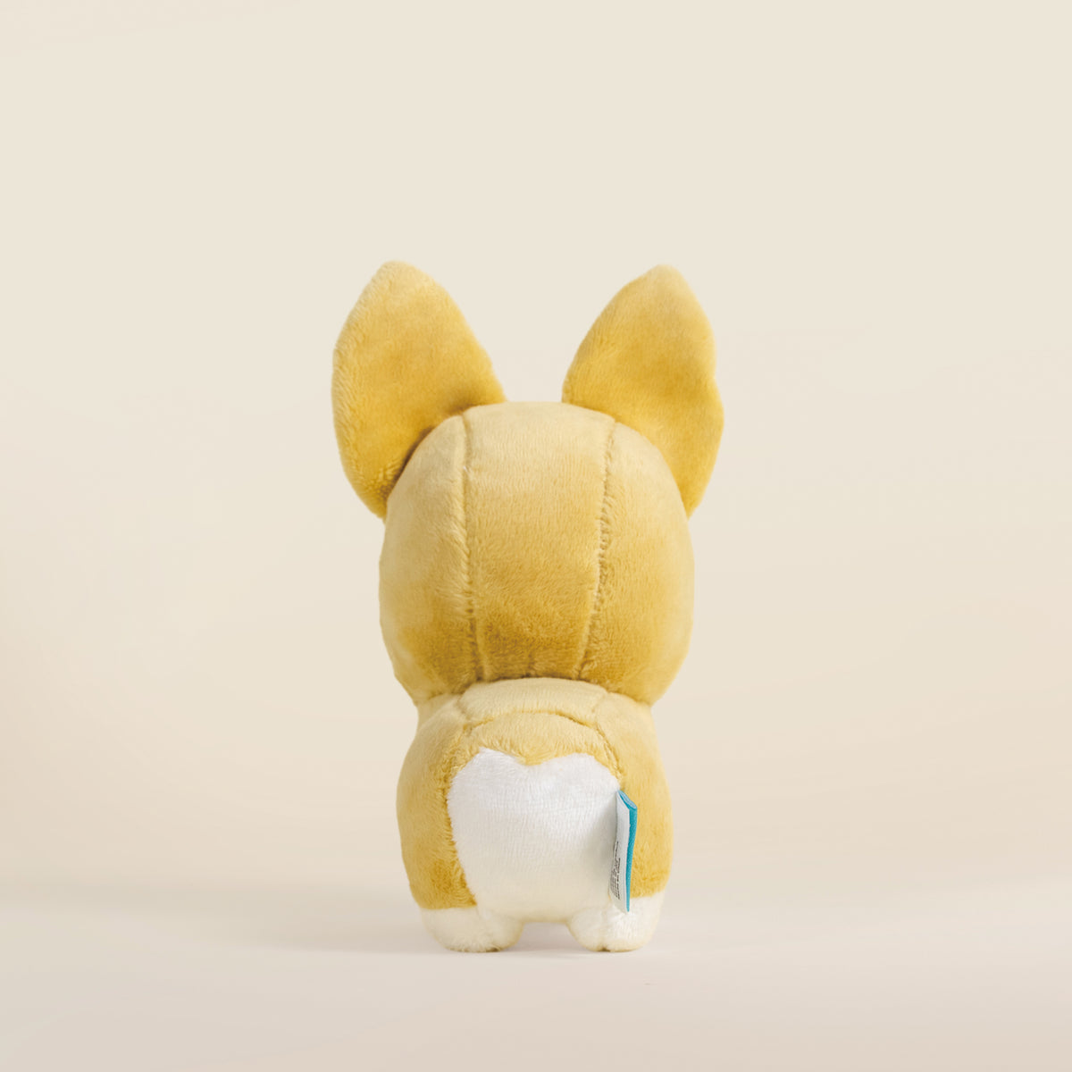 Mini Corgi the Dog
