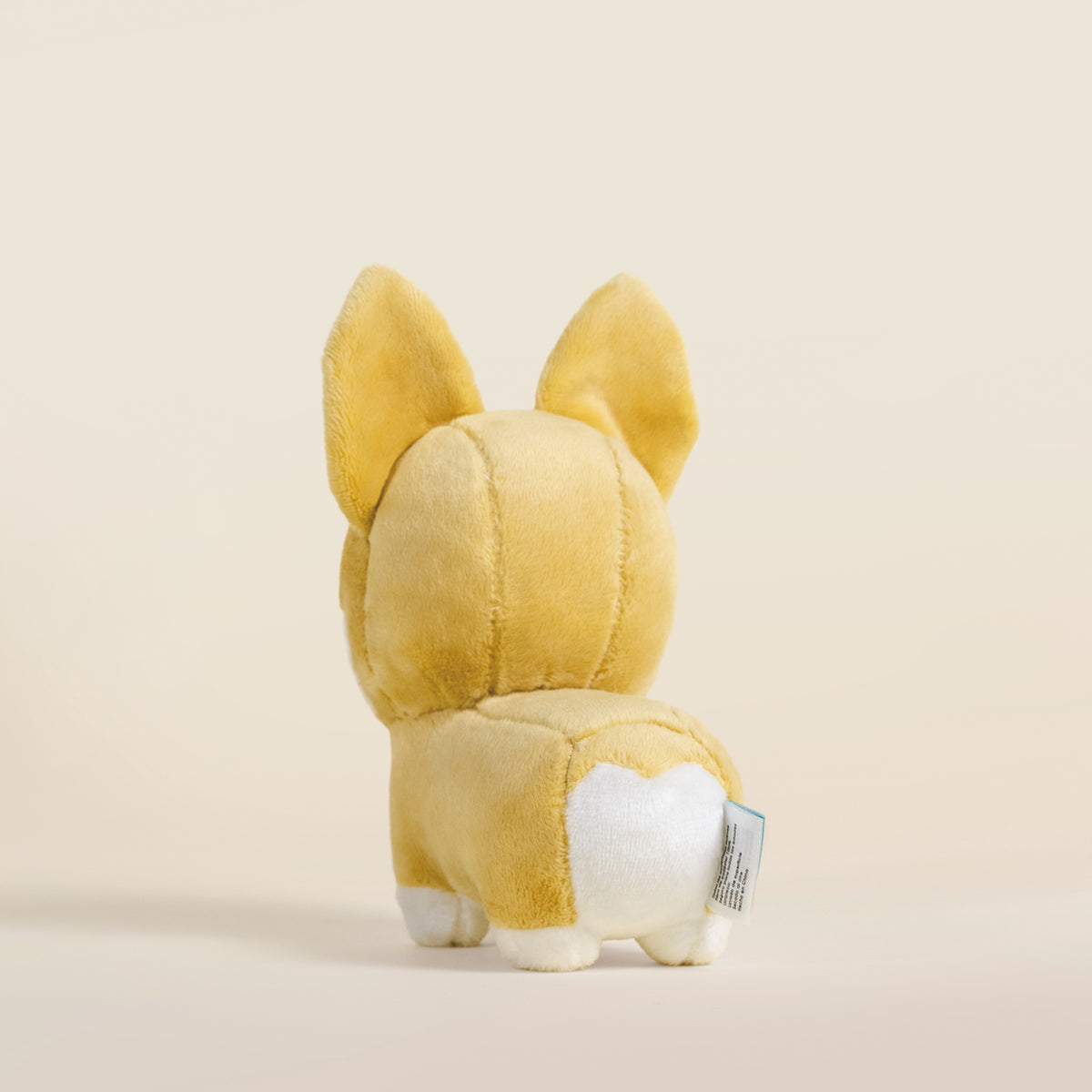Mini Corgi the Dog