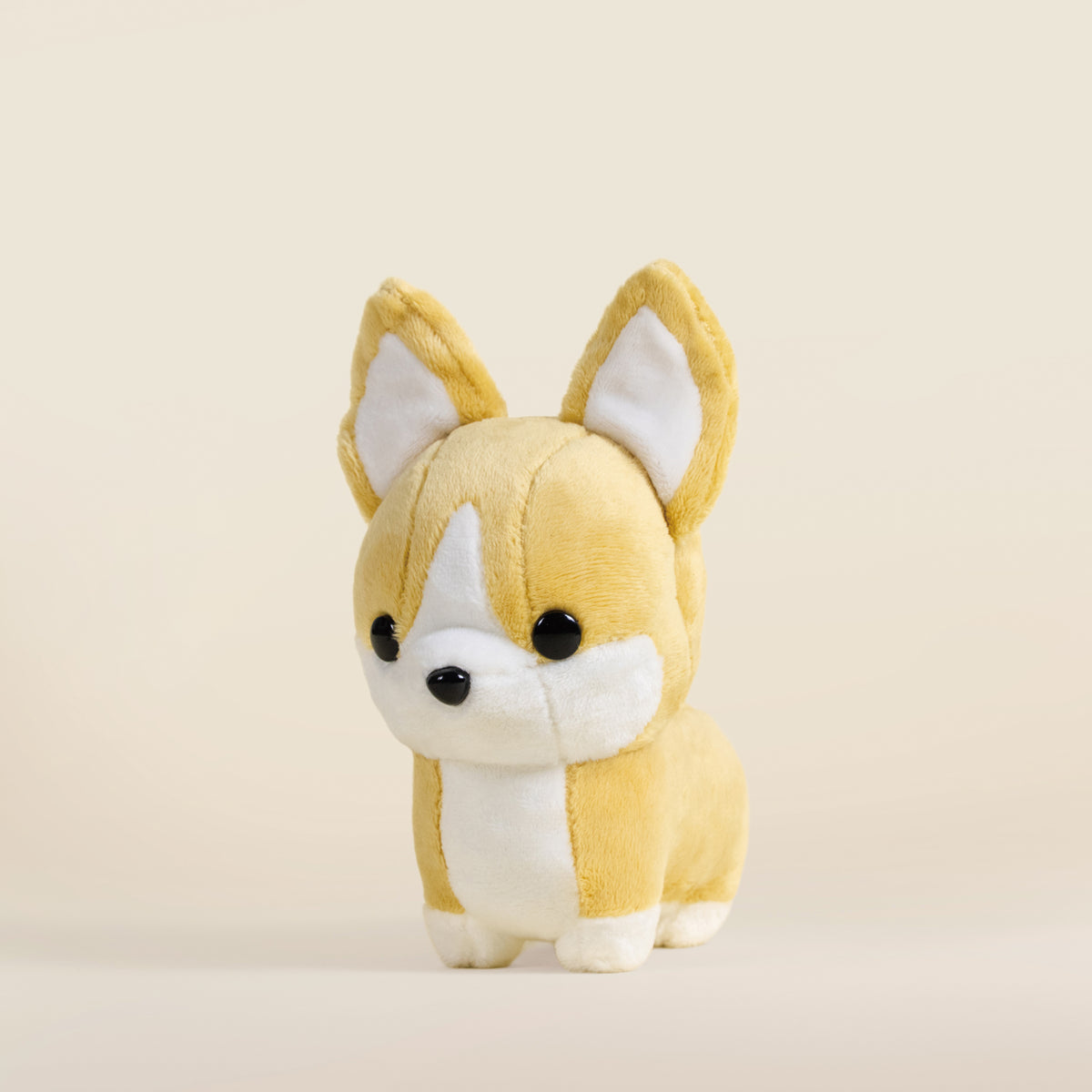 Mini Corgi the Dog