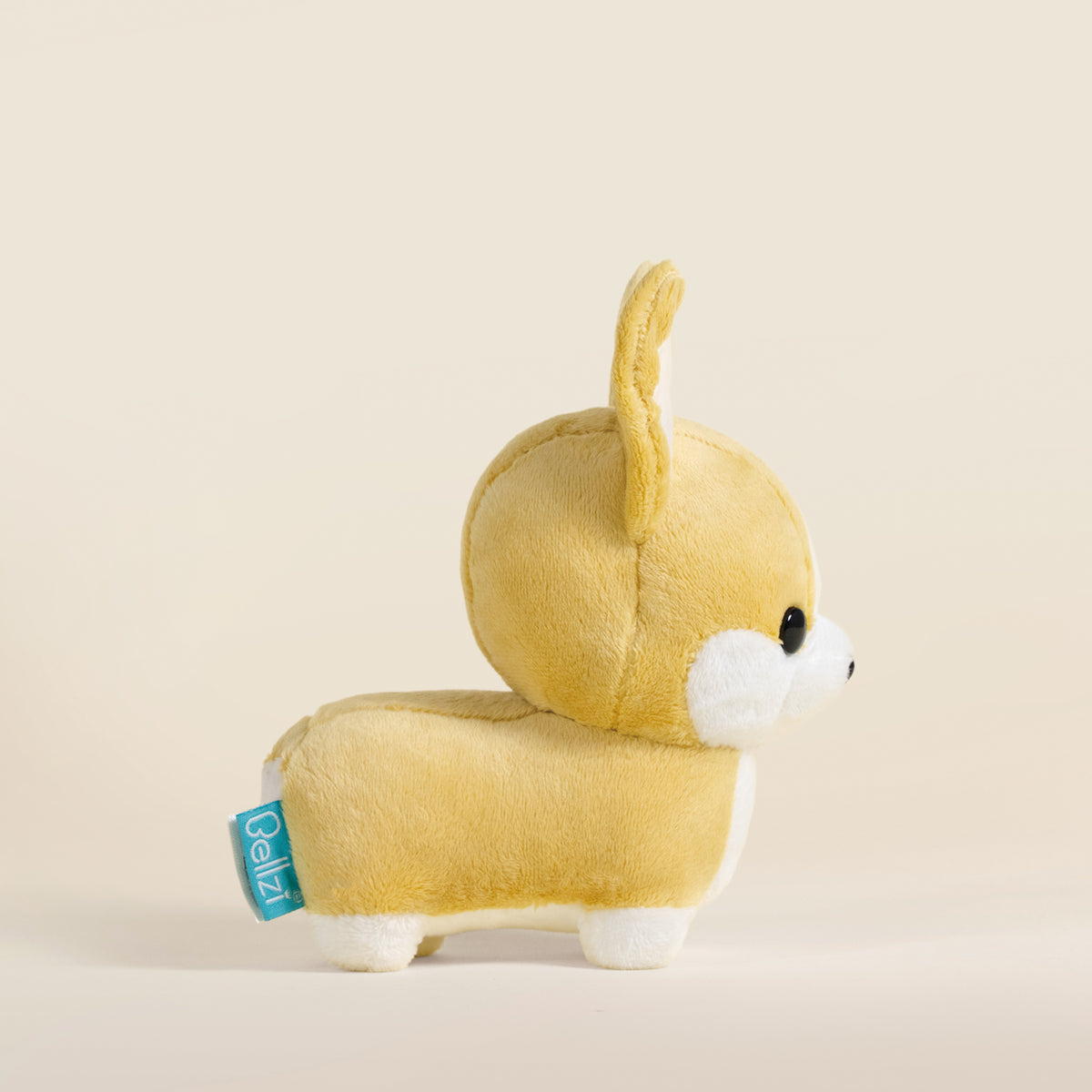 Mini Corgi the Dog