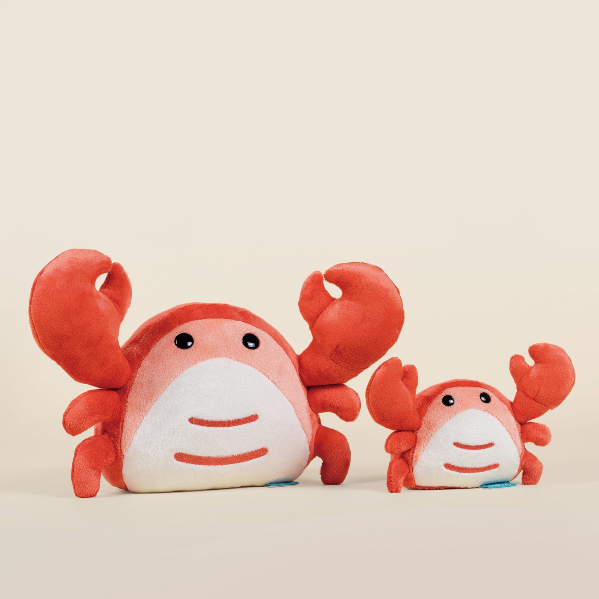 Mini Crabbi the Crab