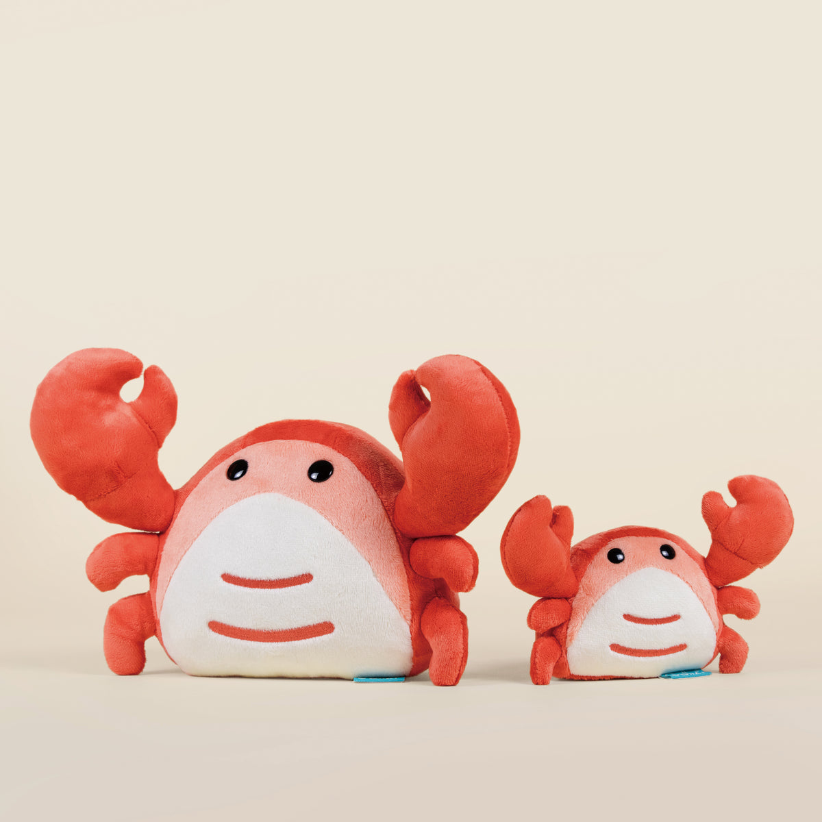 Mini Crabbi the Crab
