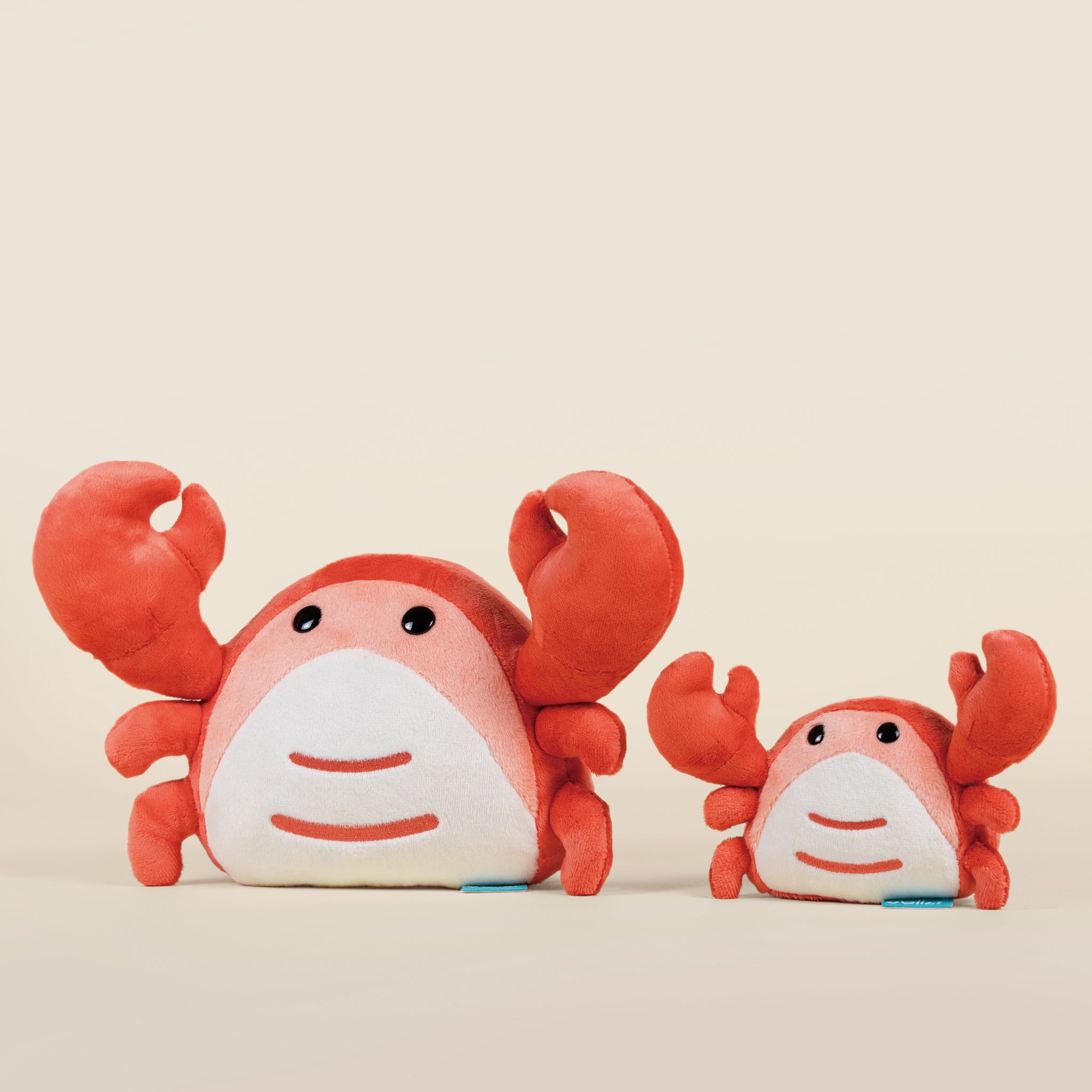 Mini Crabbi the Crab