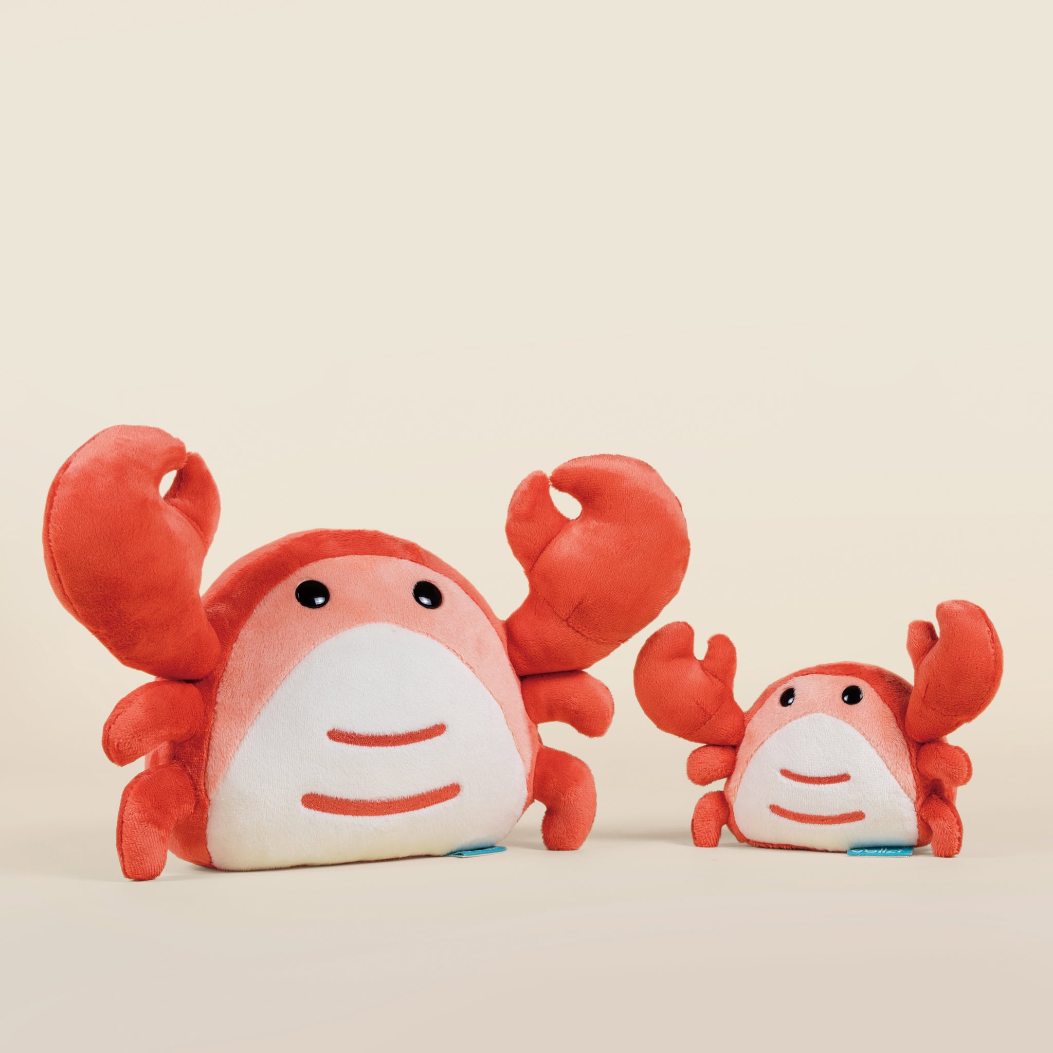 Mini Crabbi the Crab