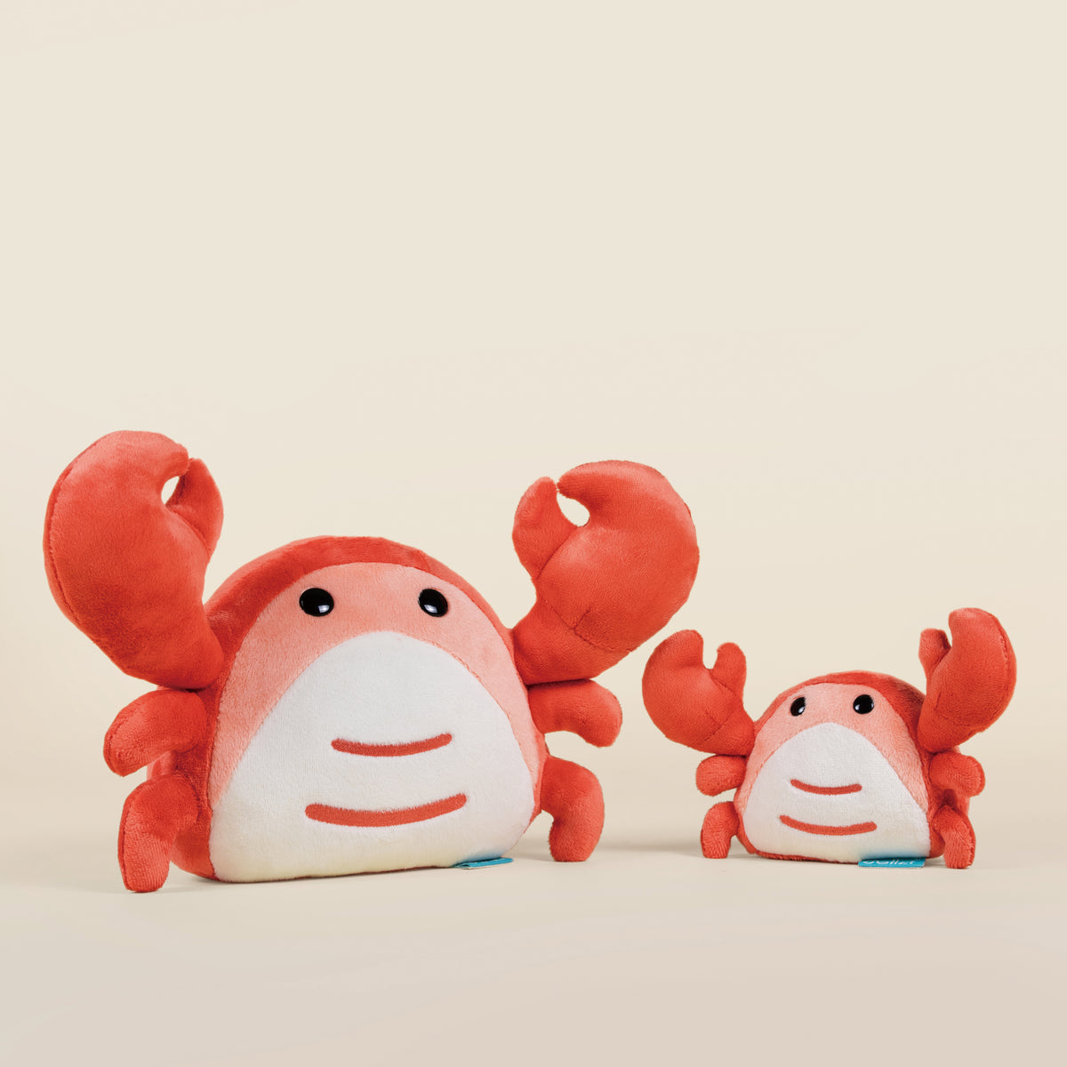 Mini Crabbi the Crab