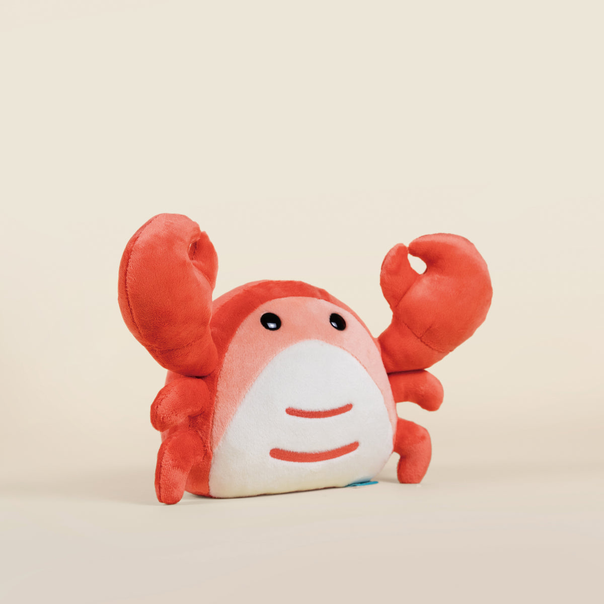 Crabbi The Crab