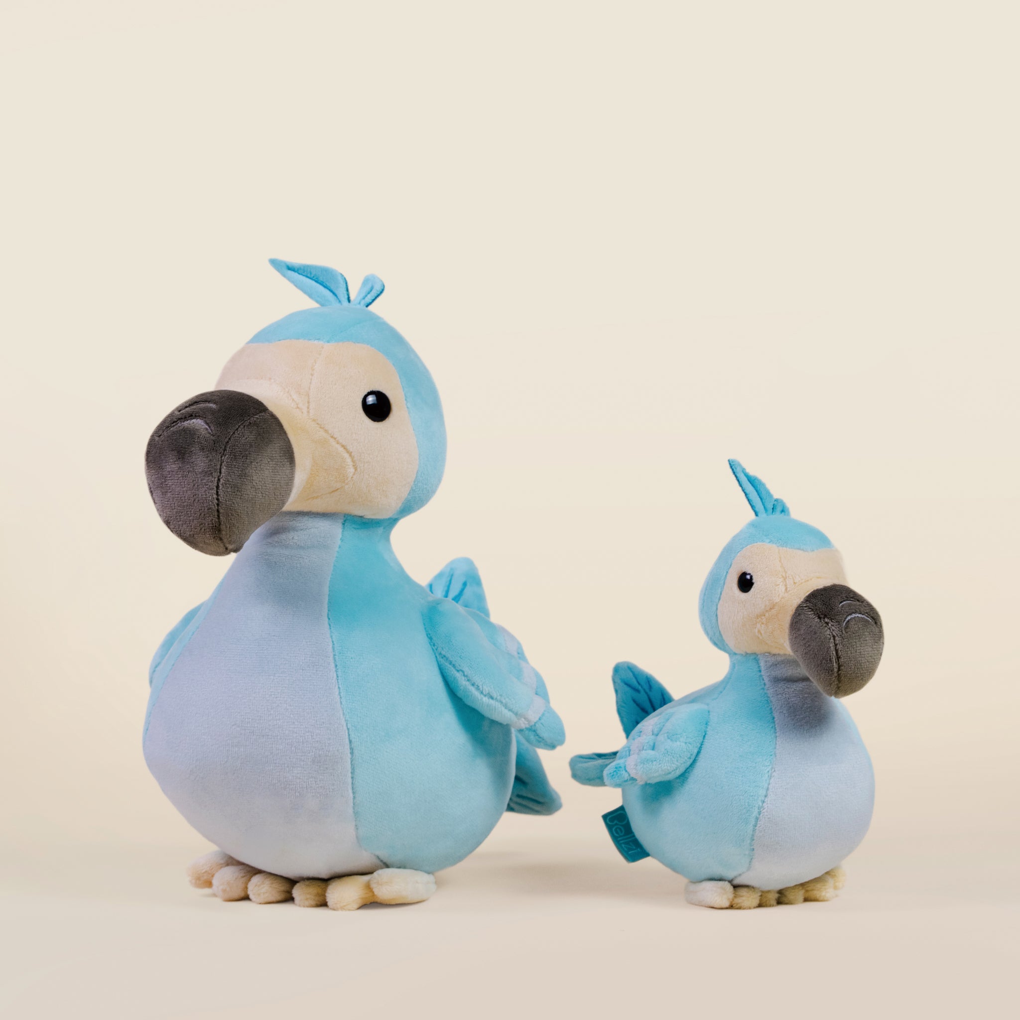 Dodoi the Dodo Bird